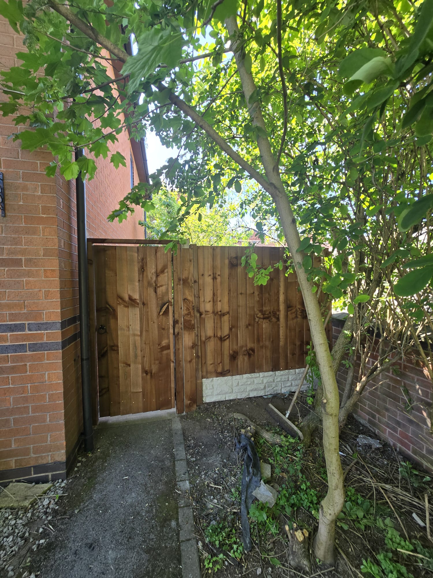Before, overgrown alleyway ready for clearance