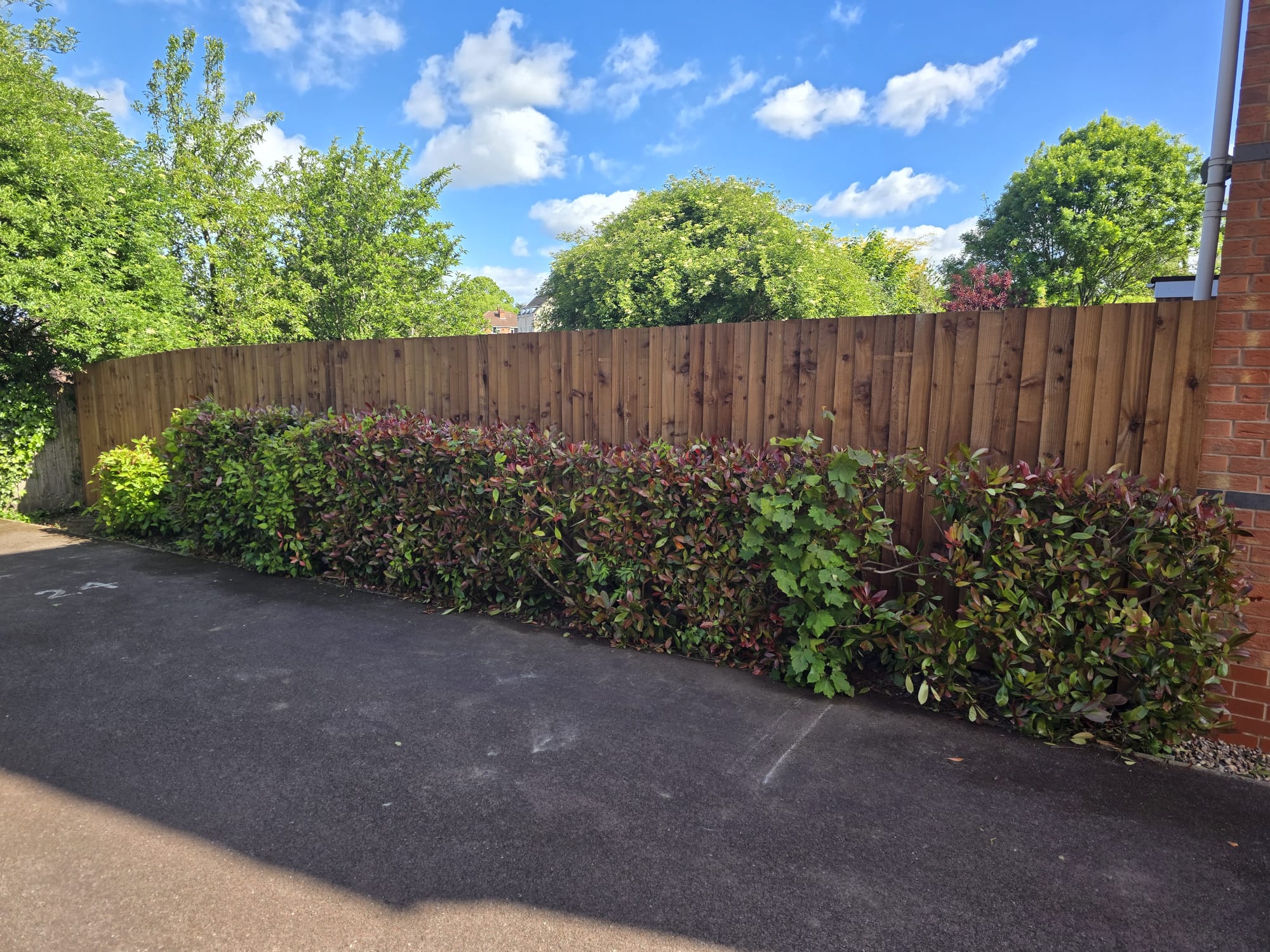 Sleeper Beds & Borders