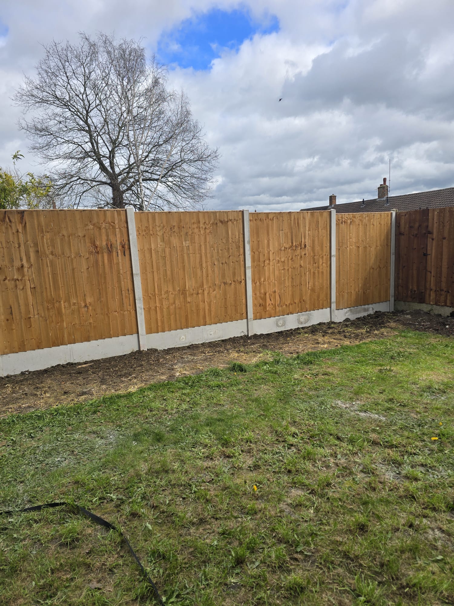 Fence panels with concrete posts
